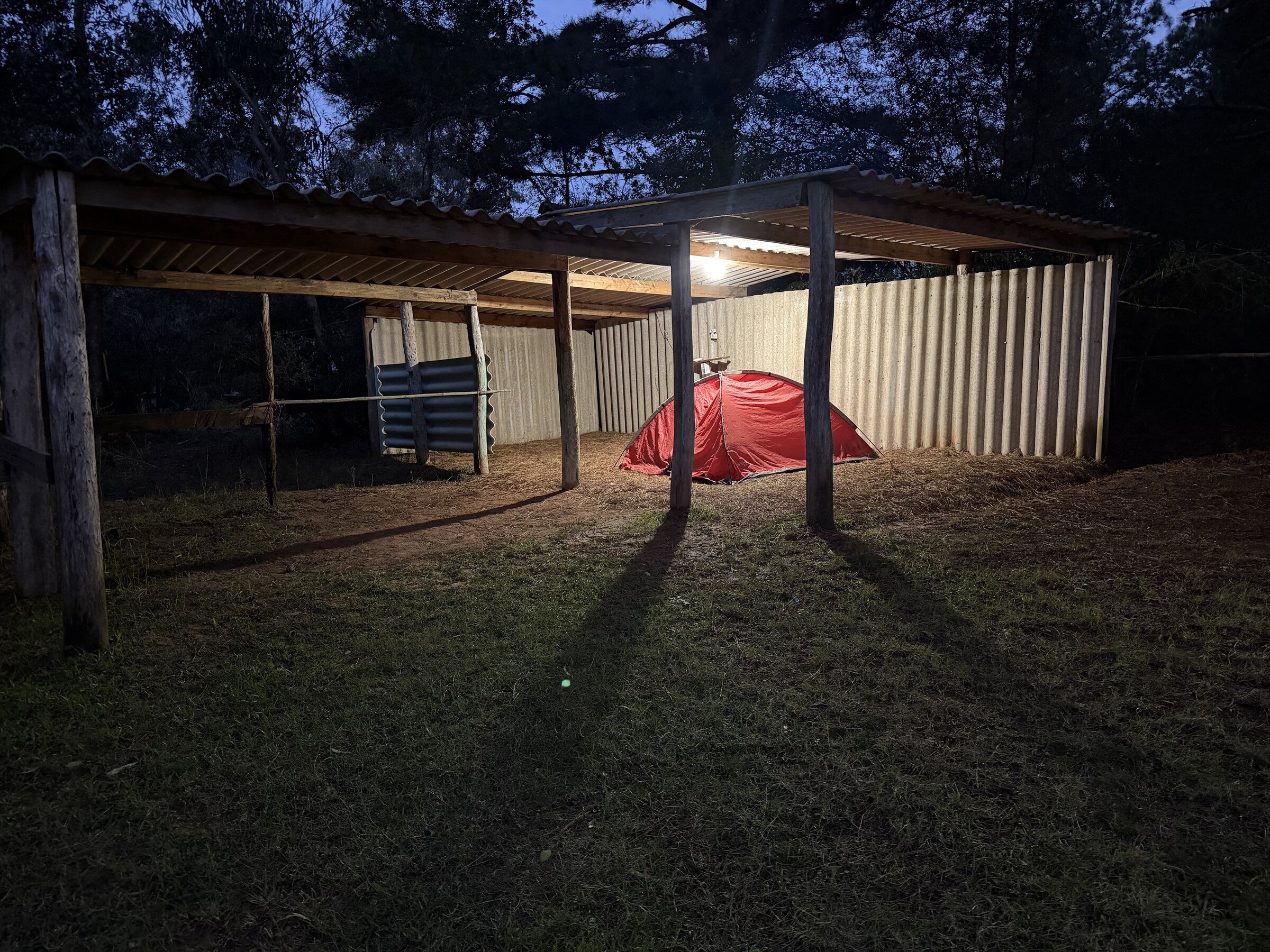 Carpa iluminada bajo el área techada al caer la tarde