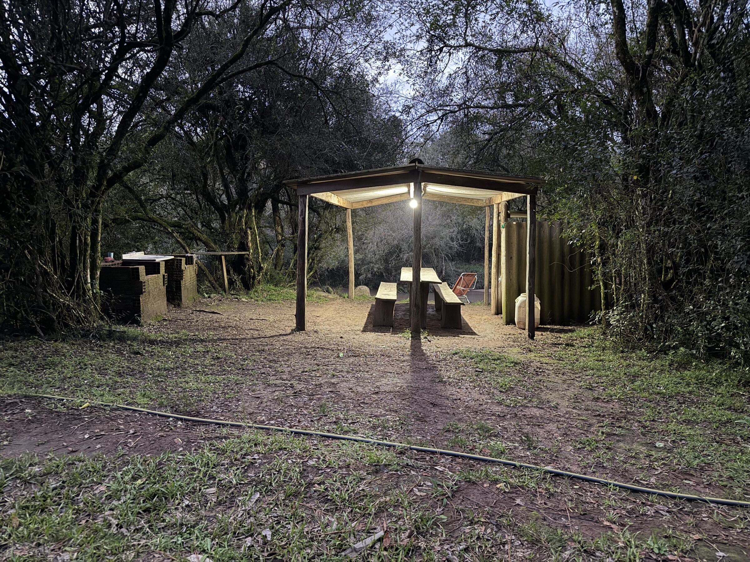 Mesa iluminada entre los árboles al anochecer